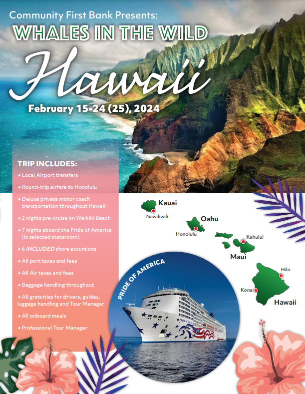 Photo of an ariel view of Hawaii with trip details